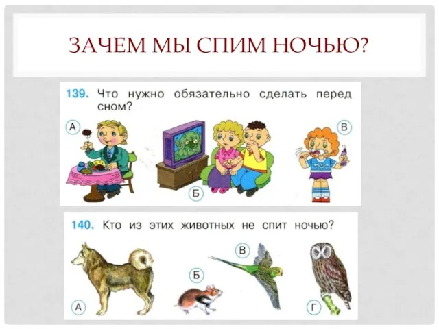 ЗАЧЕМ МЫ СПИМ НОЧЬЮ?