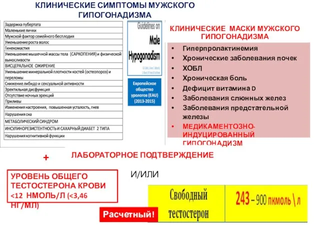 КЛИНИЧЕСКИЕ СИМПТОМЫ МУЖСКОГО ГИПОГОНАДИЗМА Гиперпролактинемия Хронические заболевания почек ХОБЛ Хроническая боль