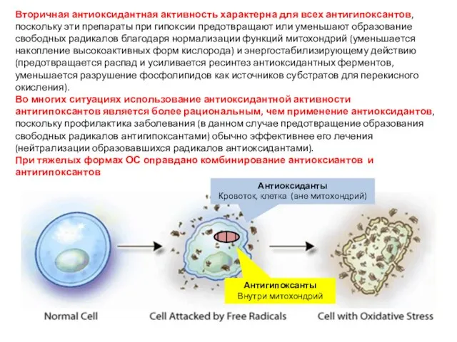 Вторичная антиоксидантная активность характерна для всех антигипоксантов, поскольку эти препараты при