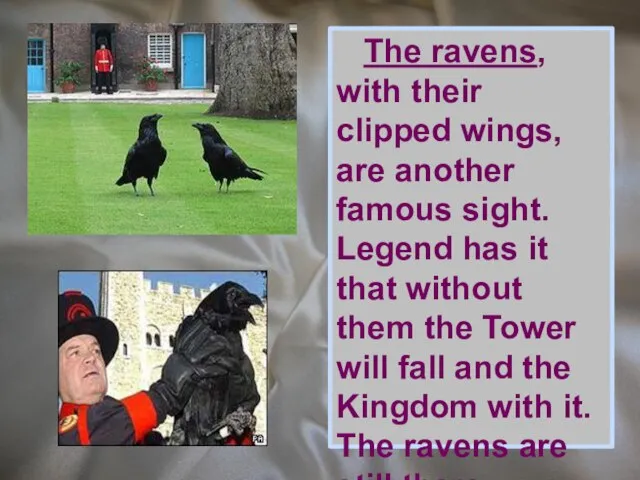 The ravens, with their clipped wings, are another famous sight. Legend