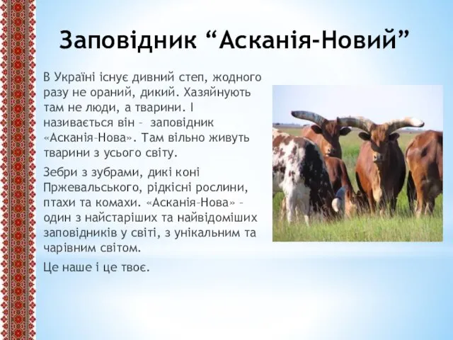 Заповідник “Асканія-Новий” В Україні існує дивний степ, жодного разу не ораний,