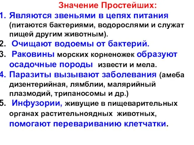 Являются звеньями в цепях питания (питаются бактериями, водорослями и служат пищей