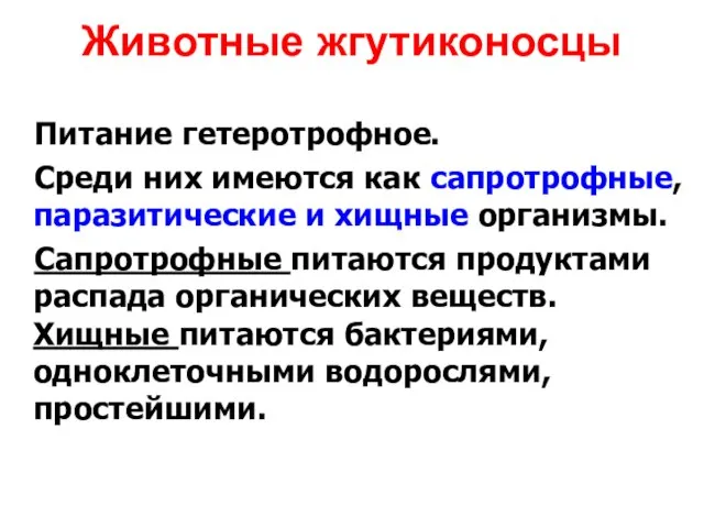 Животные жгутиконосцы Питание гетеротрофное. Среди них имеются как сапротрофные, паразитические и