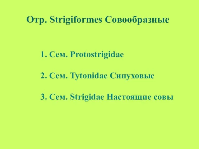 Отр. Strigiformes Совообразные 1. Сем. Protostrigidae 2. Сем. Tytonidae Сипуховые 3. Сем. Strigidae Настоящие совы