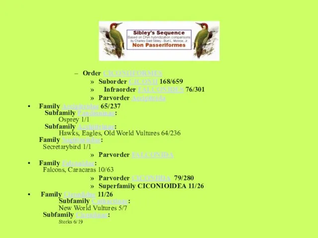 Order CICONIIFORMES Suborder CICONII 168/659 Infraorder FALCONIDES 76/301 Parvorder Accipitrida Family