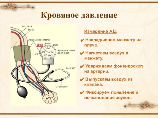 Кровяное давление Измерение АД: Накладываем манжету на плечо. Нагнетаем воздух в