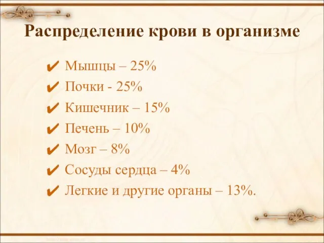 Распределение крови в организме Мышцы – 25% Почки - 25% Кишечник