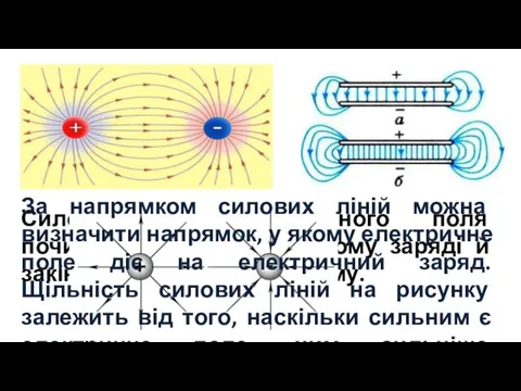 Силові лінії електричного поля починаються на позитивному заряді й закінчуються на