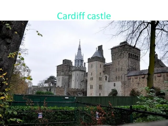 Cardiff castle