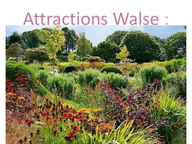 Attractions Walse :