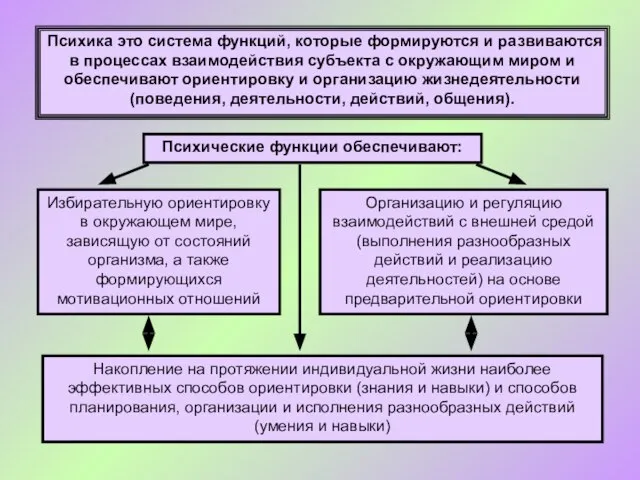 Психика это система функций, которые формируются и развиваются в процессах взаимодействия