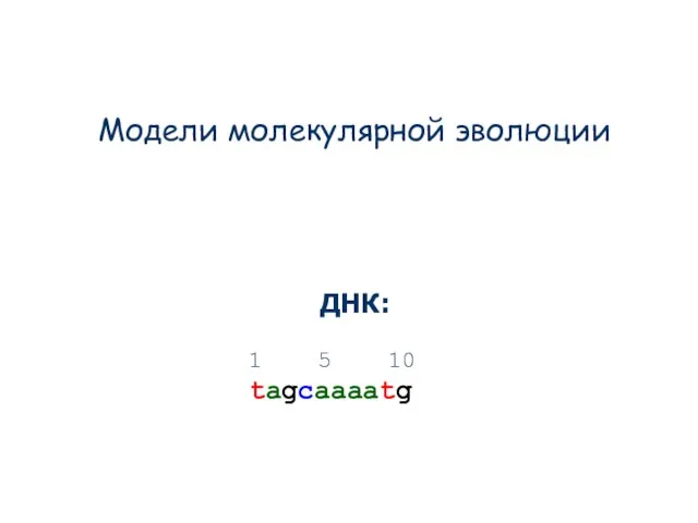 Модели молекулярной эволюции ДНК: 1 5 10 tagcaaaatg