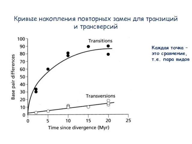 Кривые накопления повторных замен для транзиций и трансверсий Каждая точка – это сравнение, т.е. пара видов