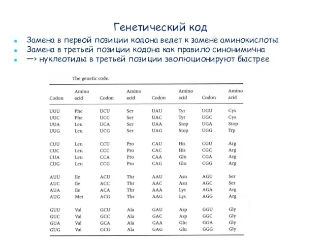 Генетический код Замена в первой позиции кодона ведет к замене аминокислоты