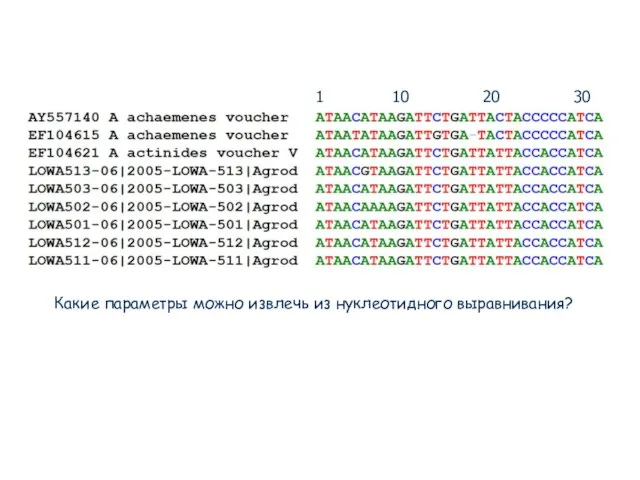 Какие параметры можно извлечь из нуклеотидного выравнивания? 1 10 20 30