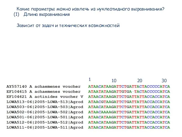 Какие параметры можно извлечь из нуклеотидного выравнивания? Длина выравнивания Зависит от