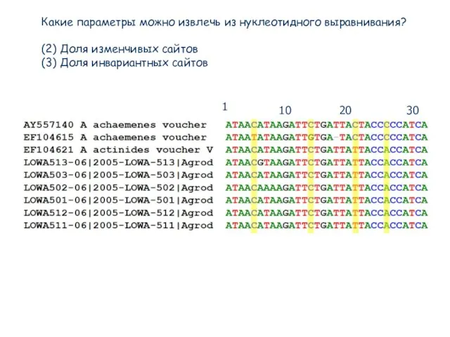 Какие параметры можно извлечь из нуклеотидного выравнивания? (2) Доля изменчивых сайтов