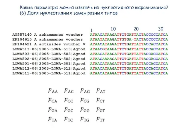 Какие параметры можно извлечь из нуклеотидного выравнивания? (6) Доля нуклеотидных замен