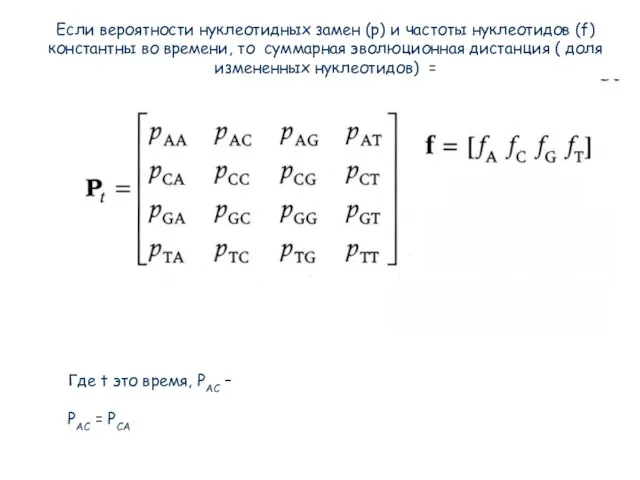 Если вероятности нуклеотидных замен (p) и частоты нуклеотидов (f) константны во