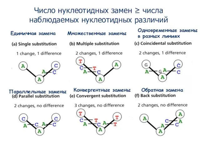 Единичная замена Множественные замены Параллельные замены Конвергентные замены Обратная замена Одновременные