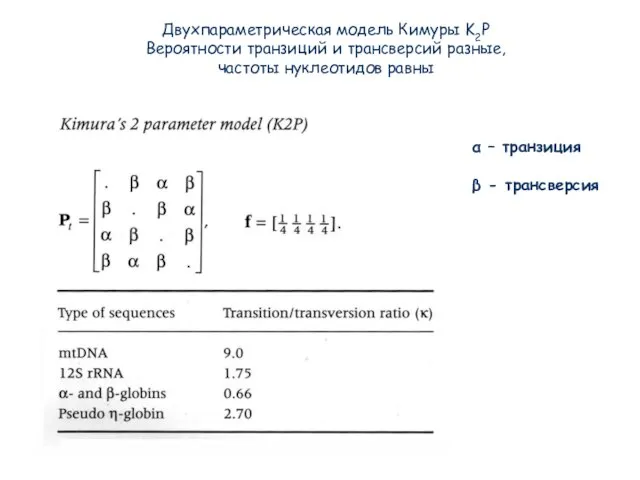 Двухпараметрическая модель Кимуры K2P Вероятности транзиций и трансверсий разные, частоты нуклеотидов