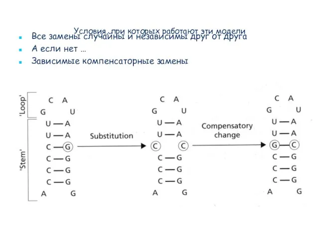 Условия, при которых работают эти модели Все замены случайны и независимы