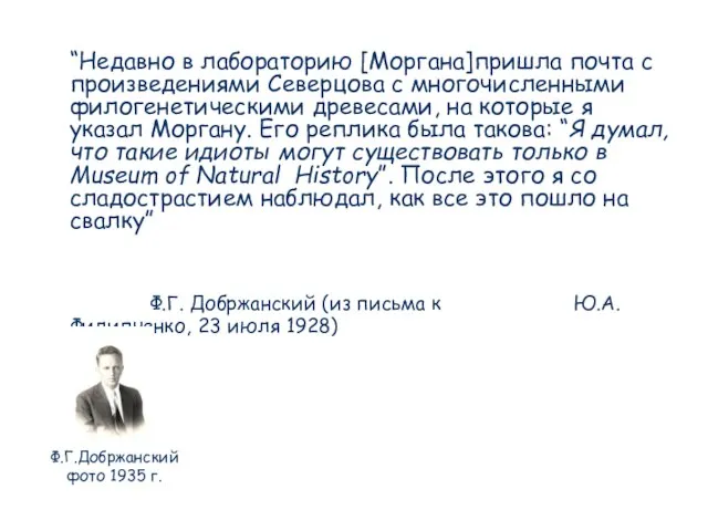 “Недавно в лабораторию [Моргана]пришла почта с произведениями Северцова с многочисленными филогенетическими