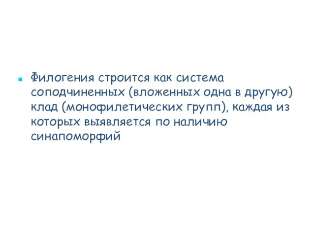 Филогения строится как система соподчиненных (вложенных одна в другую) клад (монофилетических