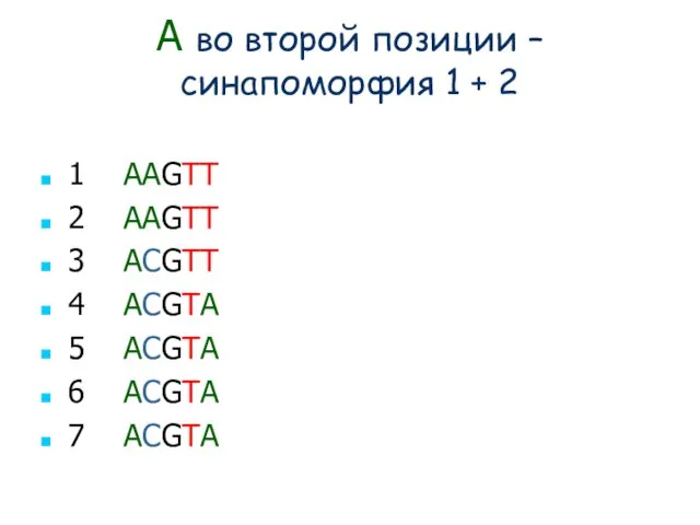 A во второй позиции – синапоморфия 1 + 2 1 AAGTT