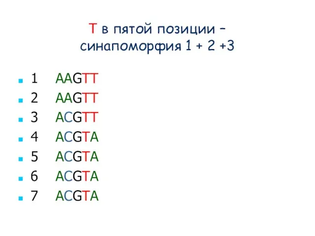 T в пятой позиции – синапоморфия 1 + 2 +3 1