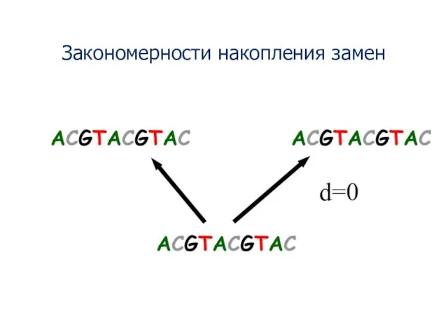 Закономерности накопления замен