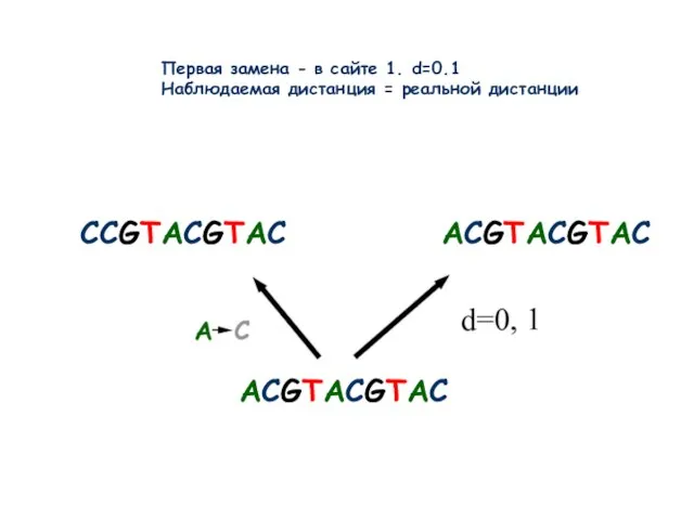 ACGTACGTAC CCGTACGTAC ACGTACGTAC Первая замена - в сайте 1. d=0.1 Наблюдаемая дистанция = реальной дистанции