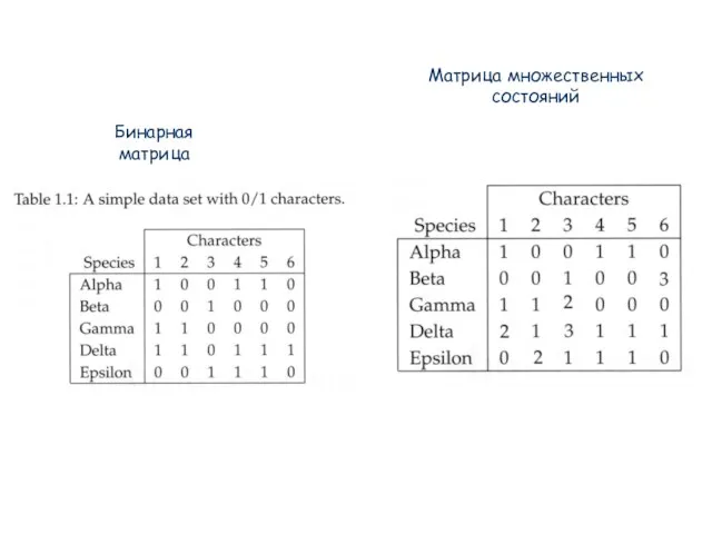 Бинарная матрица Матрица множественных состояний