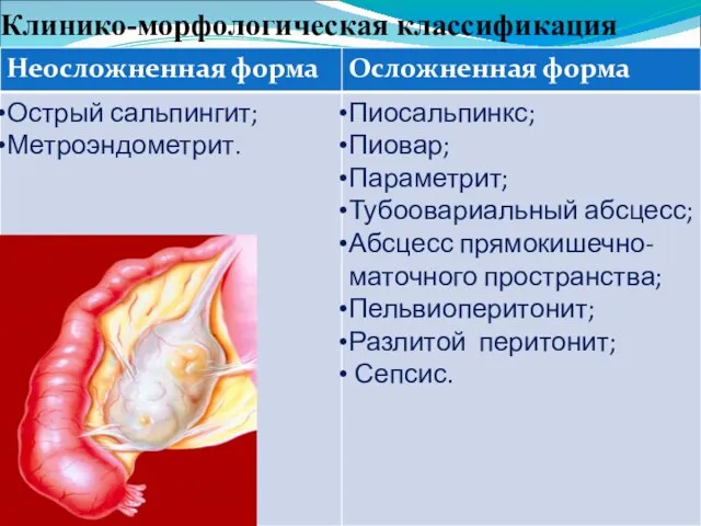 Клинико-морфологическая классификация