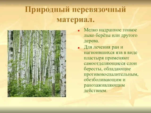 Природный перевязочный материал. Мелко надранное тонкое лыко берёзы или другого дерева.