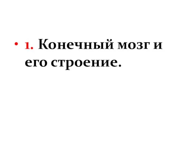 1. Конечный мозг и его строение.