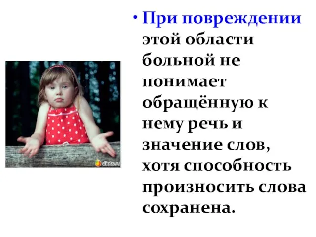 При повреждении этой области больной не понимает обращённую к нему речь