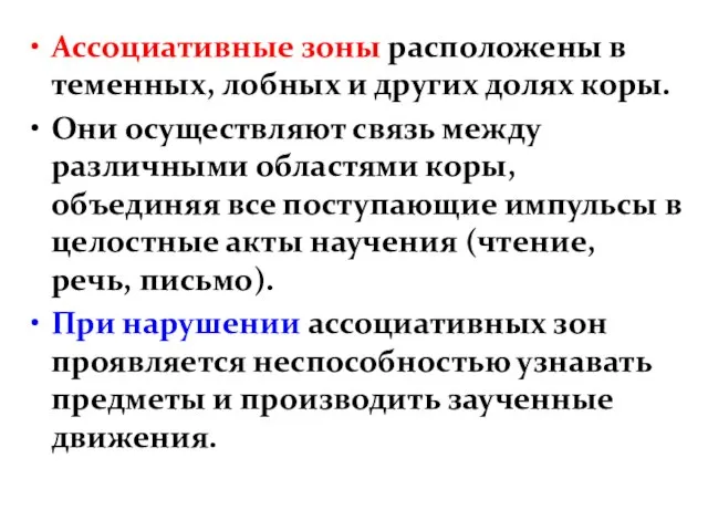 Ассоциативные зоны расположены в теменных, лобных и других долях коры. Они