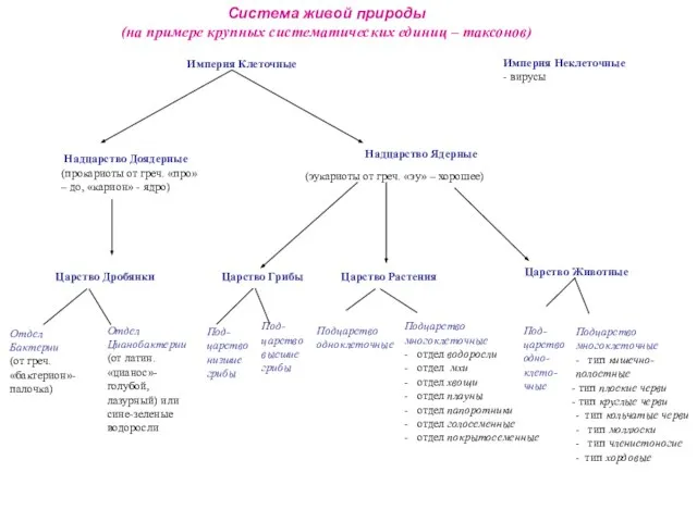 Система живой природы (на примере крупных систематических единиц – таксонов)