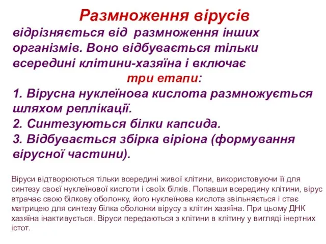 Віруси відтворюються тільки всередині живої клітини, використовуючи її для синтезу своєї