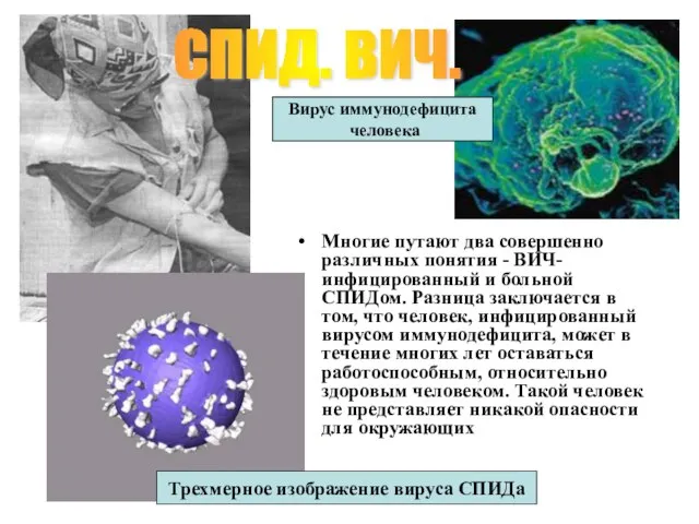 Многие путают два совершенно различных понятия - ВИЧ-инфицированный и больной СПИДом.