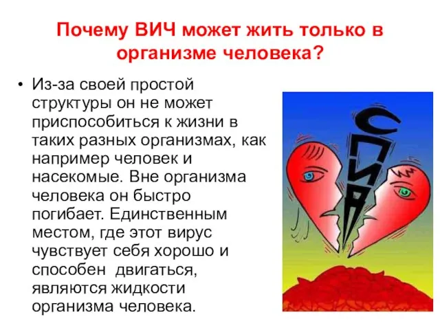 Почему ВИЧ может жить только в организме человека? Из-за своей простой