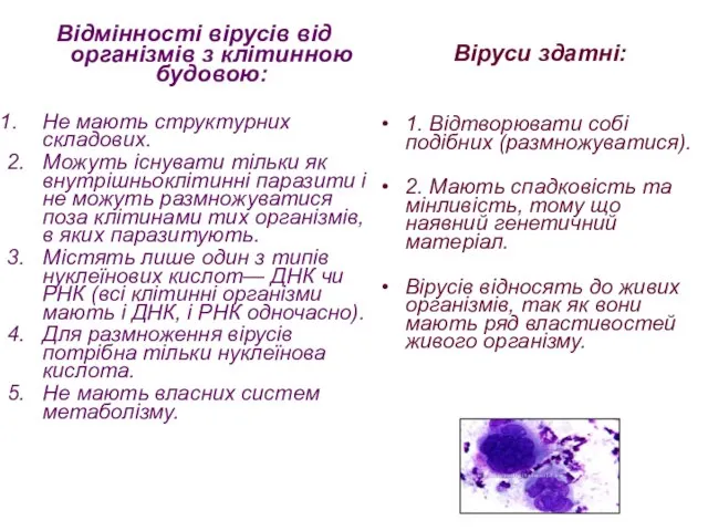 Відмінності вірусів від організмів з клітинною будовою: Не мають структурних складових.