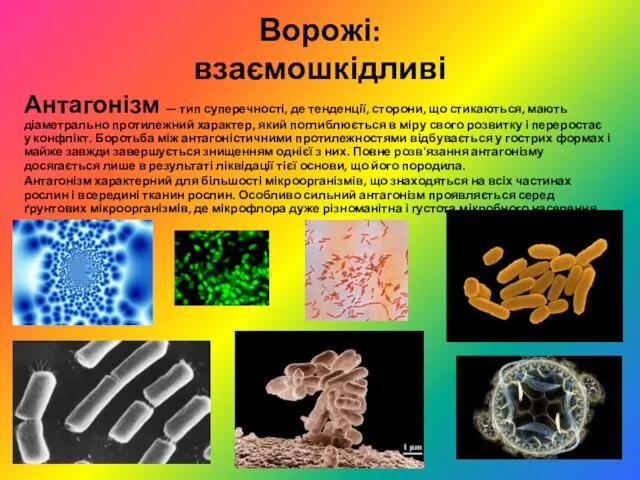 Ворожі: взаємошкідливі Антагонізм — тип суперечності, де тенденції, сторони, що стикаються,