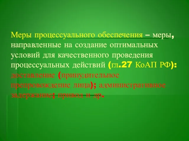 Меры процессуального обеспечения – меры, направленные на создание оптимальных условий для