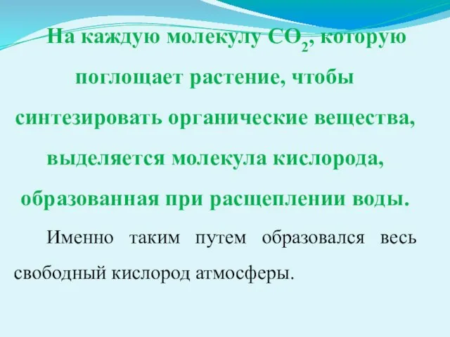 На каждую молекулу СО2, которую поглощает растение, чтобы синтезировать органические вещества,