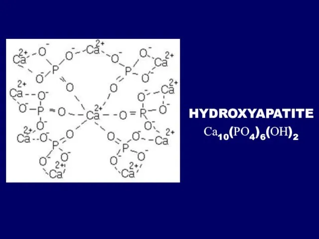 HYDROXYAPATITE Са10(РО4)6(ОН)2