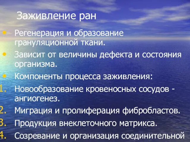 Заживление ран Регенерация и образование грануляционной ткани. Зависит от величины дефекта