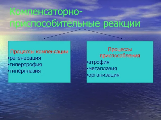 Компенсаторно-приспособительные реакции Процессы компенсации регенерация гипертрофия гиперплазия Процессы приспособления атрофия метаплазия организация