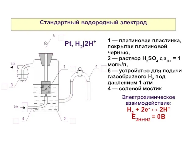 Стандартный водородный электрод 1 — платиновая пластинка, покрытая платиновой чернью, 2